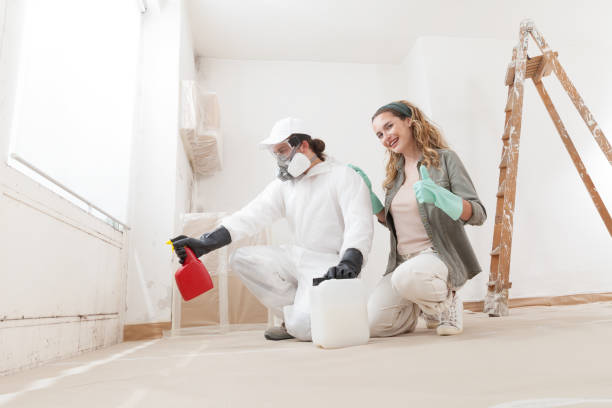 Best Dehumidification Services  in Shoreview, MN